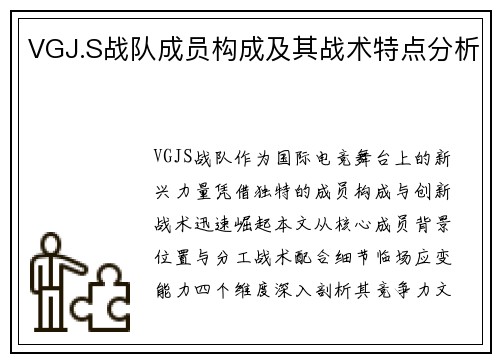 VGJ.S战队成员构成及其战术特点分析